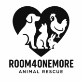 Room 4 One More